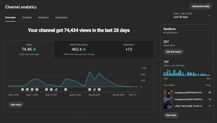 A YouTube Studio analytics page: 74.4K views and 462 watch hours over a 28-day window, 327 subscribers, a daily views graph, and a top-content list of Valorant clips.